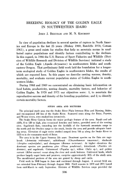 breeding biology of the golden eagle in southwestern idaho