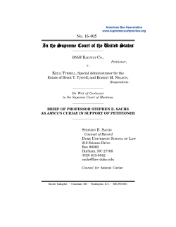 Brief for Professor Stephen E. Sachs in Support of