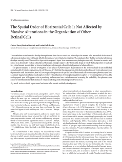 The Spatial Order of Horizontal Cells Is Not