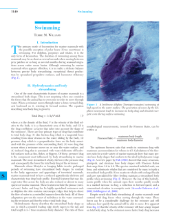 S Swimming