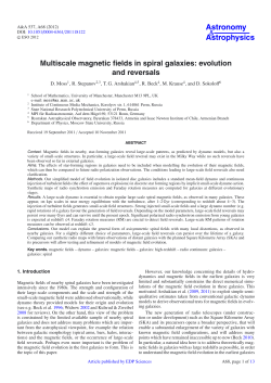 Multiscale magnetic fields in spiral galaxies: evolution and reversals