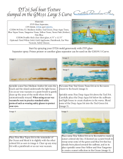 DT26 Sail boat Texture slumped on the GM191 Large S Curve