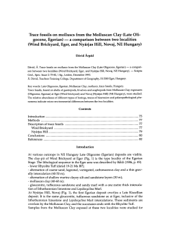 Trace fossils on molluscs from the Molluscan Clay