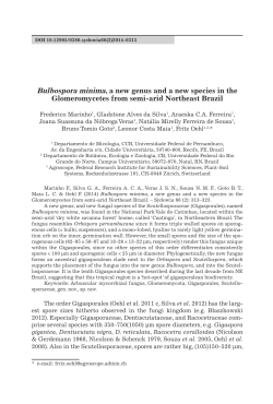 Bulbospora minima, a new genus and a new