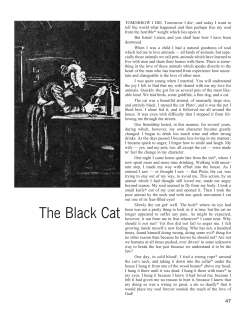 The Black Cat