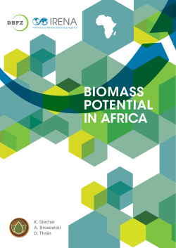 Biomass Potential in Africa