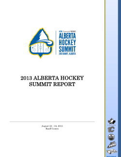 2013 ALBERTA HOCKEY SUMMIT REPORT