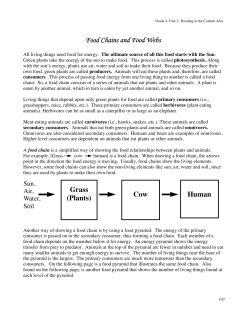 Food Chains and Food Webs