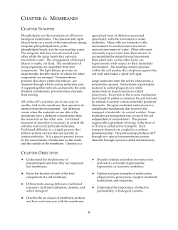 CHAPTER 6: MEMBRANES