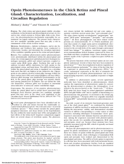 Opsin Photoisomerases in the Chick Retina and Pineal Gland