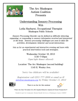 The Arc Muskegon Autism Coalition Presents Understanding
