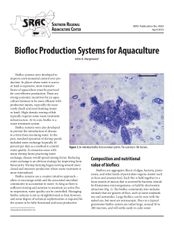 Biofloc Production Systems for Aquaculture. SRAC