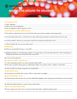 adaptations around the aquarium