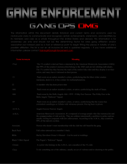 Term/Acronym Meaning - The Gang Enforcement Company
