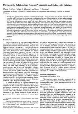 Phylogenetic Relationships Among Prokaryotic and Eukaryotic