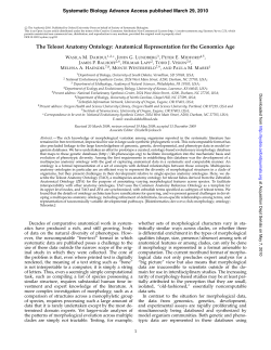 The Teleost Anatomy Ontology