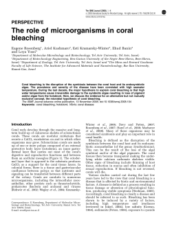 The role of microorganisms in coral bleaching