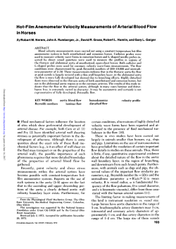 Hot-Film Anemometer Velocity Measurements of Arterial Blood Flow
