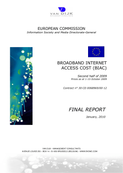 The Broadband Internet Access Cost