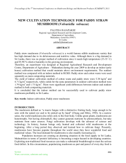 New Cultivation Technology for Paddy Straw Mushroom ( Volvariella