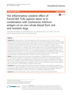 The inflammatory cytokine effect of Pam3CSK4 TLR2 agonist alone