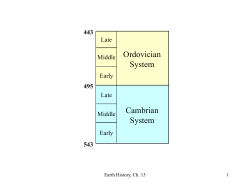 Fossils and the diversity of life