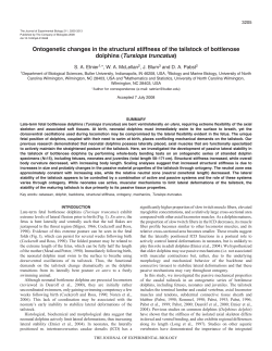 Ontogenetic changes in the structural stiffness of the tailstock of