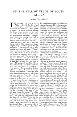 On the Yellow Veldt of South Africa.