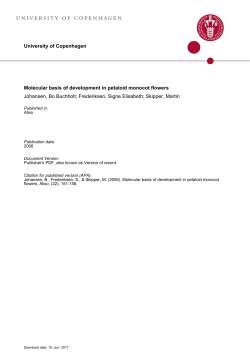 Molecular basis of development in petaloid monocot