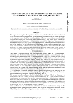 The Use Of Color In The Dwellings Of The Informal Settlement &ldquo;La