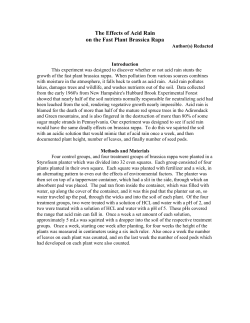The Effects of Acid Rain on the Fast Plant Brassica Rapa