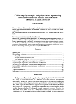 Chitinous palynomorphs and palynodebris representing crustacean