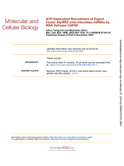 RNA Helicase UAP56 Factor Aly/REF onto Intronless