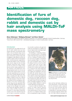 Identification of furs of domestic dog, raccoon dog, rabbit and