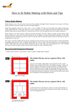 How to fit the Stable Matting with Hints and Tips