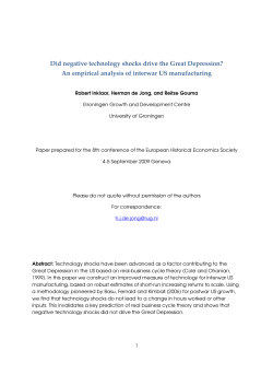 Did negative technology shocks drive the Great Depression? An em