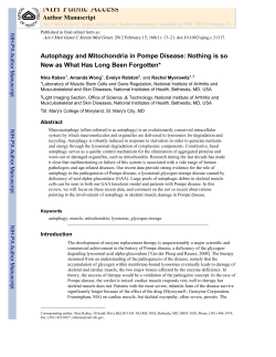 as a PDF - Acid Maltase Deficiency Association