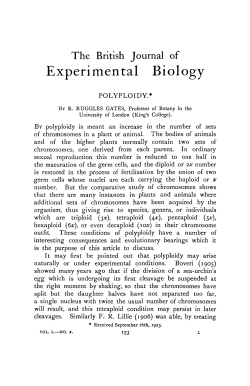 Journal of Experimental Biology