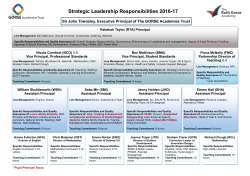Strategic Leadership Responsibilities 2016-17