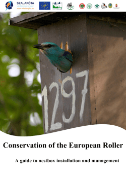 Conservation of the European Roller