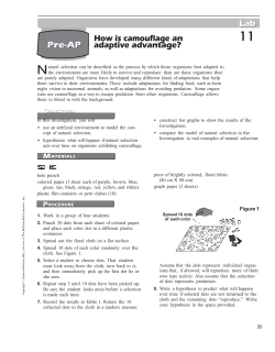 How is camouflage an adaptive advantage?