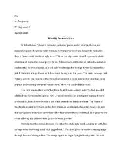 Identity Poem Analysis