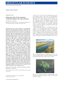 Illegal gene flow from transgenic creeping bentgrass: the saga