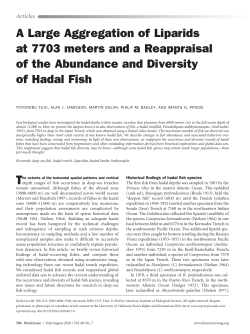 A Large Aggregation of Liparids at 7703 meters and a Reappraisal