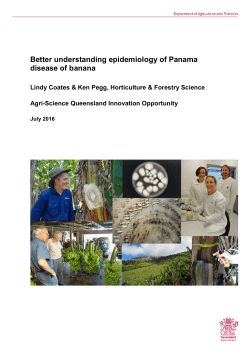 PDF (Better understanding epidemiology of Panama disease of