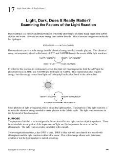 Light, Dark, Does It Really Matter?