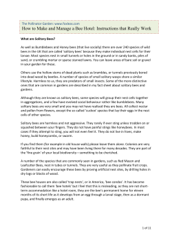 How to Make and Manage a Bee Hotel