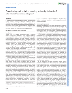 Coordinating cell polarity: heading in the right