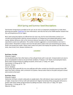 Full Description of all Seeds