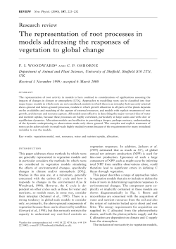 The representation of root processes in models addressing the